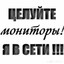curtweb