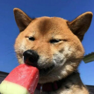 你若安好便是晴天