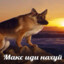 maks_udu_naxyu