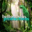 Bellonoxius