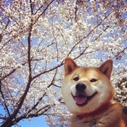 KOUMEI´_>`)੭*⁾⁾