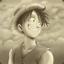 Luffy D 13th