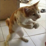 均衡教派集团董事长