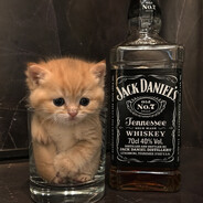 TinkiWhisky.skins.army
