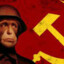 MACACO RUSSO