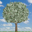 vibrohands moneYTree$