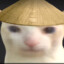 Peb :v
