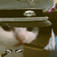 COL. MEOWINGTON