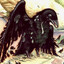Black bird Cereen