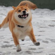 答应我，你的嘴只用来吃饭好吗