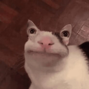 PINGUbenezet