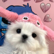 可不可以不要在我笨笨的时候说我