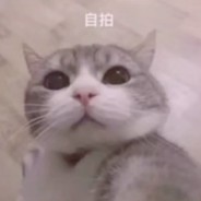 全世界最可爱的小公举