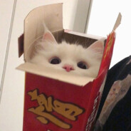 黑犬君!汪汪汪!!!