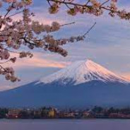 Mount