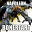 Napoleon Bonerfart