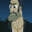 Bart