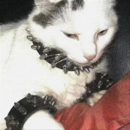 天花酱就拜托你了