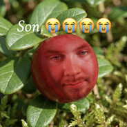 lingonberry macintosh