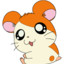 Hamtaro