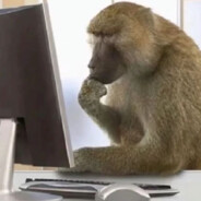 雅思辅导1386559807