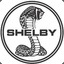 ShElbY