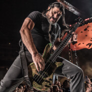 风吹菊花蛋打颤