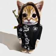 Premium Sandwich Maker