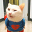 SuperMrau