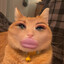guse