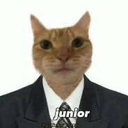 Gatinho Crente