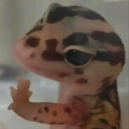 她说万幸得以相识