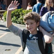 眼睛里的郁金香