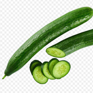 Süü