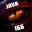 Java166