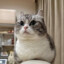 ♥ Кomaru_Love♥