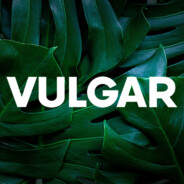 VulgarVulmart