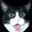 Ze Gato