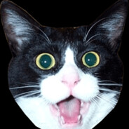 Ze Gato