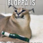 Floppa