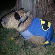 Capivara Batman