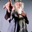 Albus Dumbledore