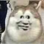 菜虚坤快传球！