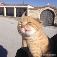 快乐水他爹心灵鸡汤