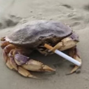 Frustrated Crustacean