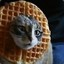 kittywaffles