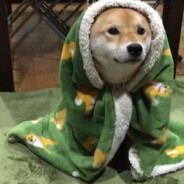 刘强东拳打镇关西