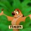 &lt;_™TiMoN™_&gt;