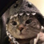 Ralkin