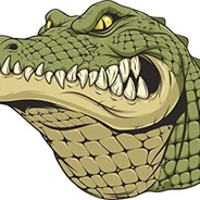Mr.Crocodilé